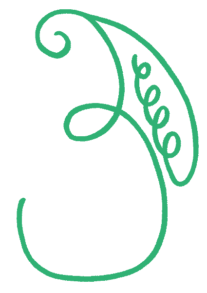 simbolo iava corso reiki