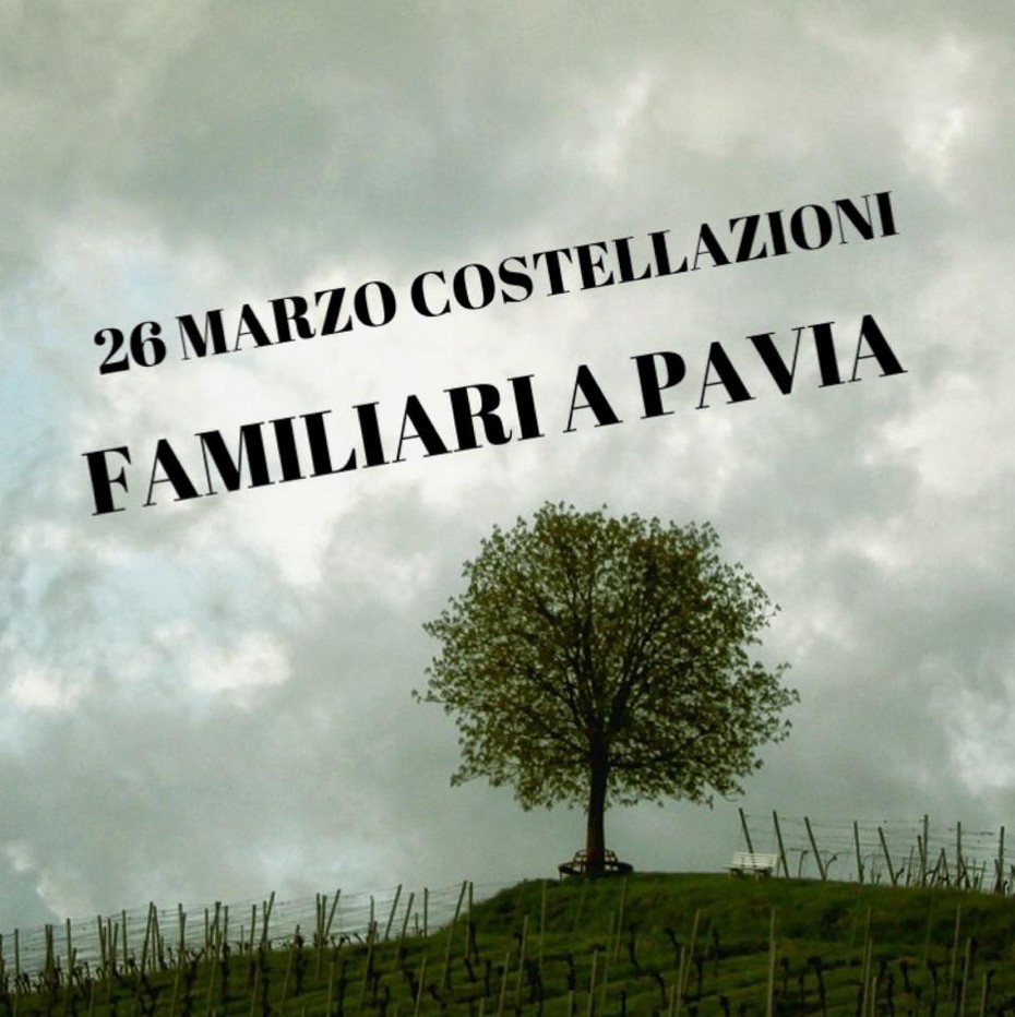 costellazioni familiari a pavia costellazioni familiari a pavia