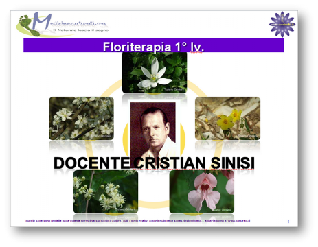 corso floriterapia per master reiki 