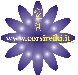 logo corsi reiki